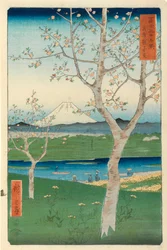 Fuji vu de Koshigaya, Musashi, no 14 de la série « 36 vues du mont Fuji », « Fuji Saryu Rokkei »