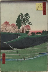 Colline de Gotenyama, Shinagawa, avril 1856