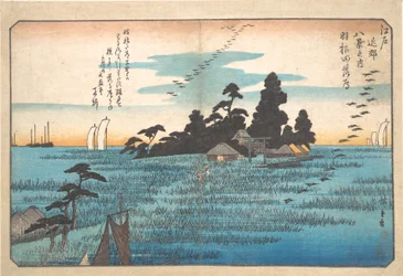 Oies sauvages de retour à Haneda