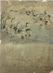 Hérons parmi les herbes
