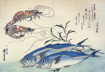 Hiroshige Chinois et crevettes