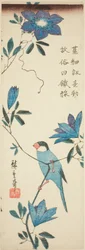 Moineau de Java et clématite