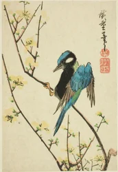 Moineau de Java sur une branche de cerisier