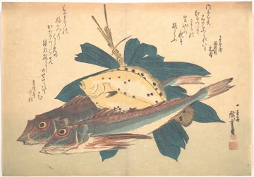 Poissons Kanagashira et Karei, de la série Uozukushi (Toutes les variétés de poissons)