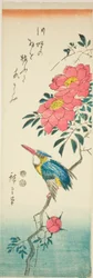Martin-pêcheur et roses