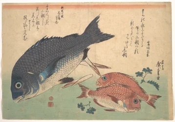 Poissons Kurodai et Kodai avec pousses de bambou et baies, de la série Uozukushi (Toutes les variétés de poissons)