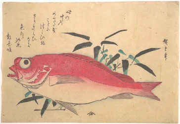 Poisson Medetai et bambou Sasaki, de la série Uozukushi (Toutes les variétés de poissons)