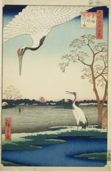 Minowa, Kanasugi, Mikawashima, de la série « Cent vues célèbres d