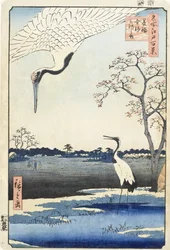 Minowa, Kanasugi et l