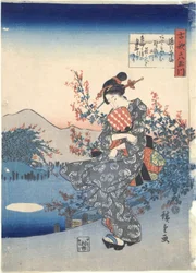 Noji : Six rivières Tama