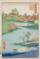 Ouverture du jardin du sanctuaire de Fukagawa Hachiman (Fukagawa Hachiman yamabiraki), n° 68 de la série "Cent vues célèbres d