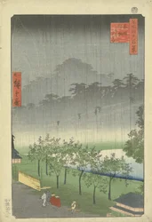 Plantation de paulownia à Akasaka sous la pluie du soir