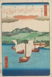 Voiles de retour à Yabase