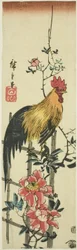 Coq perché sur une treille de roses