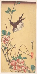 Roses et moineau