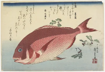 Dorade et brindilles de sansho, c. 1832