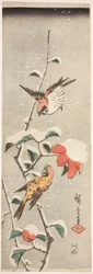 Moineaux et camélia dans la neige