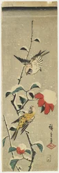Moineaux et Camélia enneigé, 1837-1848