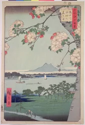 Bosquet de Suigin et Masaki, sur la rivière Sumida, de 