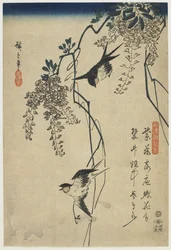 Hirondelles volant à travers des vignes de glycine, 1837-44