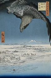 La plaine de Jumantsubo à Susaki près de Fukagawa, 1857