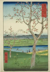 Les environs de Koshigaya dans la province de Musashi (Musashi Koshigaya zai), de la série "Trente-six vues du mont Fuji (Fuji sanjurokkei)"