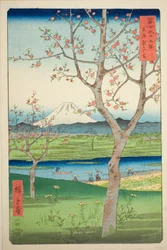 Les Environs de Koshigaya dans la Province de Musashi, de la série "Trente-six Vues du Mont Fuji"