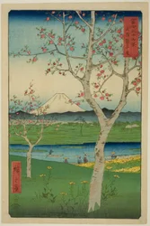 Les environs de Koshigaya dans la province de Musashi (Musashi Koshigaya zai), de la série "Trente-six vues du mont Fuji (Fuji sanjurokkei)"