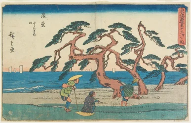 Le champ de pins à Hamamatsu