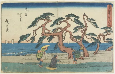 Le Champ de pins à Hamamatsu