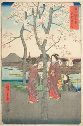 La berge de Sumida dans la capitale de l