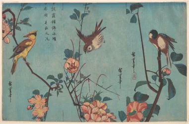 Mésange et camélias (à droite), moineau et roses sauvages (au centre), et loriot à nuque noire et fleurs de cerisier (à gauche)