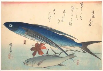 Poissons tobiuo et ishimotchi, de la série Uozukushi (Toutes les variétés de poissons)