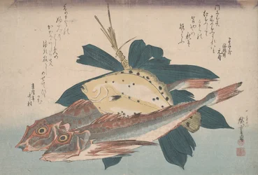 Deux grondins et une sole