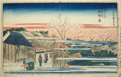 Vue des cerisiers en fleurs du matin dans le nouveau Yoshiwara (Shin Yoshiwara asazakura no zu), de la série "Vues célèbres de la capitale de l