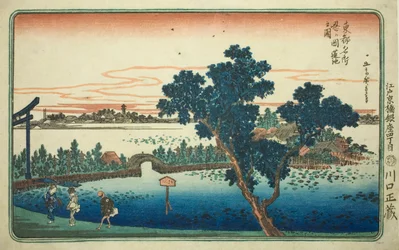 Vue de l