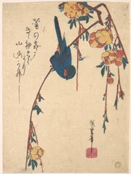 Cerisier pleureur et oiseau bleu