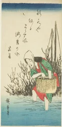 Femme ramassant des algues
