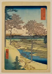 Yūhigaoka à Meguro dans la Capitale orientale, de la série « Trente-six vues du mont Fuji »