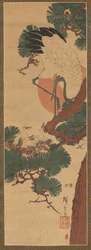 Cigogne, Soleil et Pin