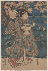 Aller à une fête de contemplation des cerisiers en fleurs