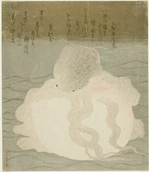 Pieuvre et coquillage