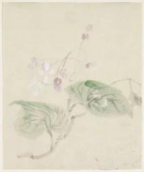 Glycines roses