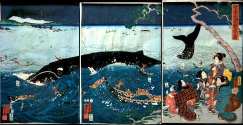 La prospérité des sept côtes avec de gros poissons (Nana ura tairyō hanjō no zu)