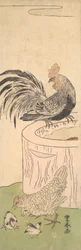 Coq, poule et poussins