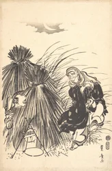 Piégeage du renard