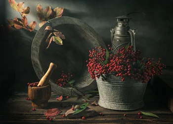 Nature morte « Récolte d