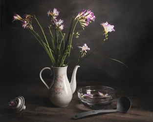 Nature morte à la freesia violette