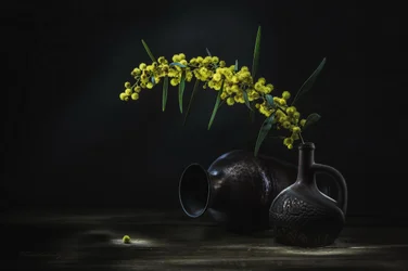 Nature morte au mimosa jaune