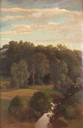 Collines boisées derrière une prairie avec une tourbière